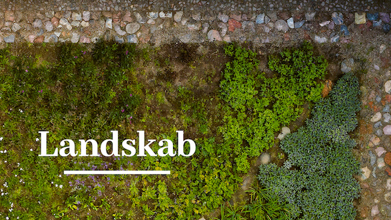 Landskab_5_2020